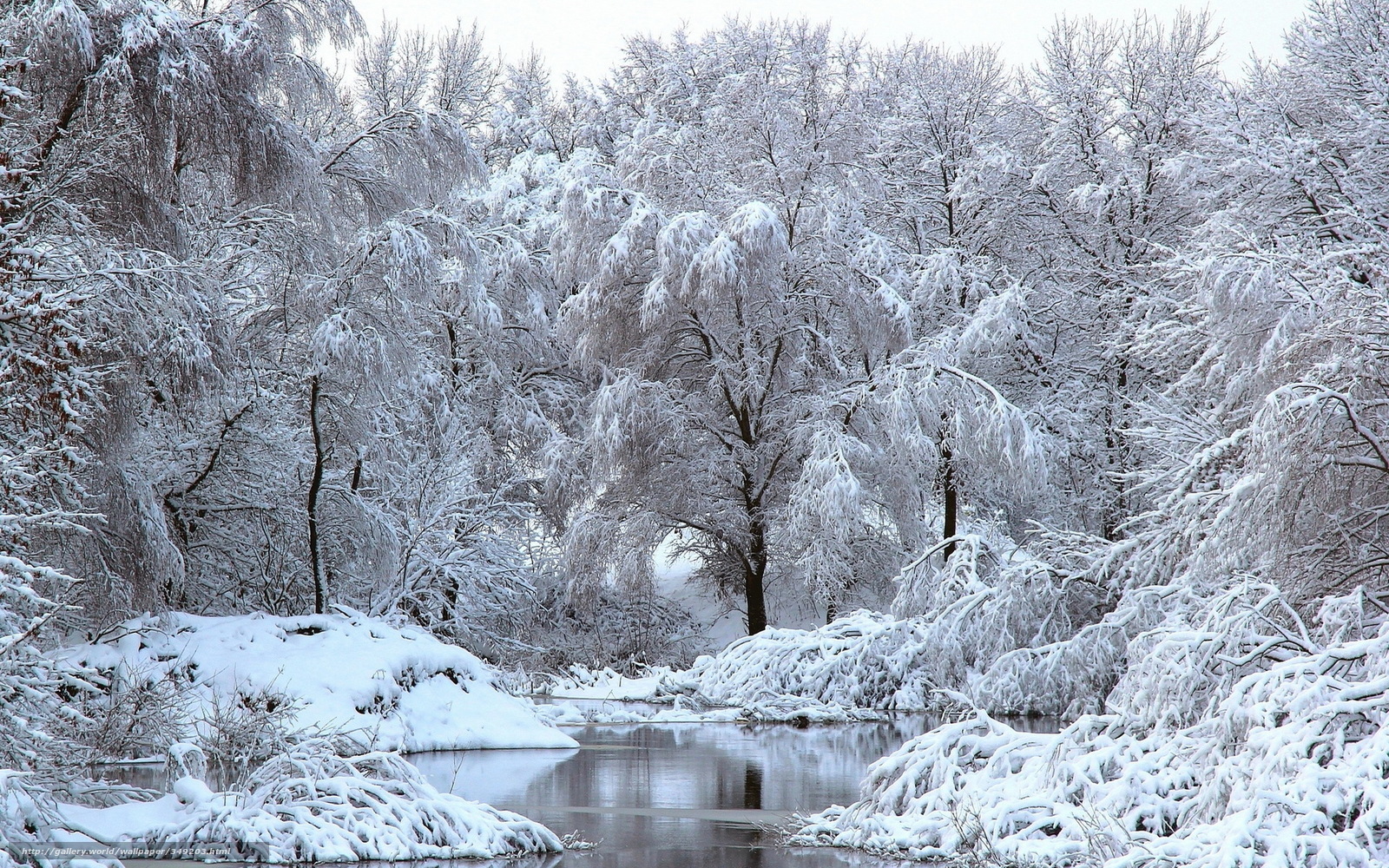 Snow-covered forest river