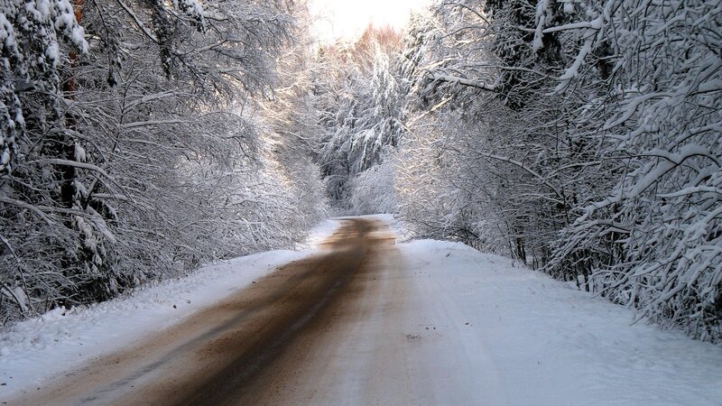 snow-covered forest road