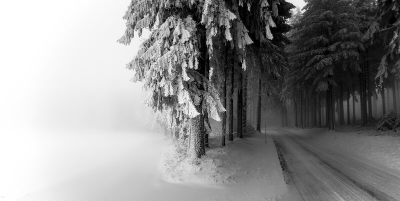Snow-covered Forest Road — Black