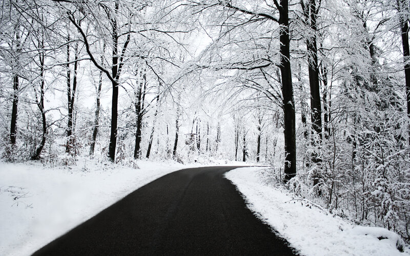 snow-covered forest road