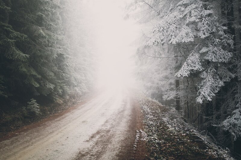 Snow-covered Forest Road — White, Misty, Winter