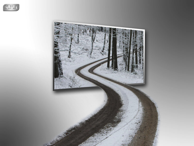 Snow-covered Forest Road — White, Serene