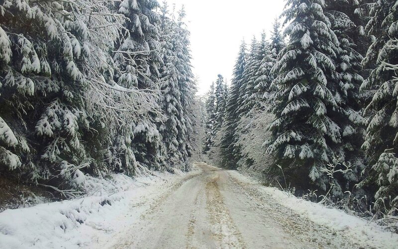 Snow-covered Forest Road — White, Serene, Winter, Photograph, Trees, Snow, Green