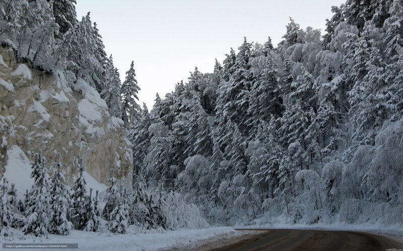 Snow-covered Forest Road — White, Serene, Winter, Photograph, Trees