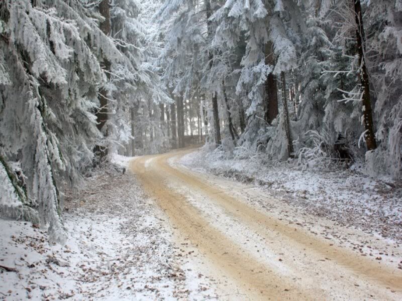 Snow-covered Forest Road — White, Serene, Winter