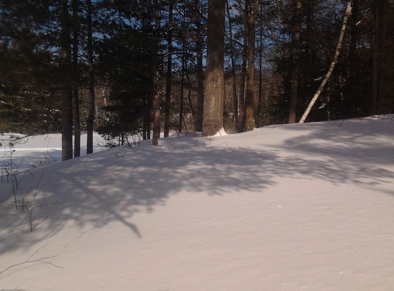 Snow-covered Forest Slope — White