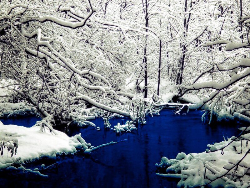 Snow-covered forest stream