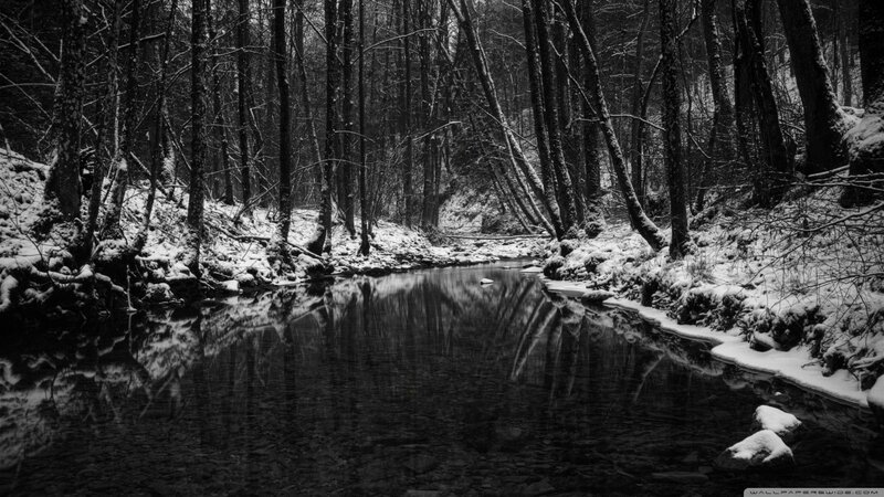 Snow-covered Forest Stream — Black, Serene