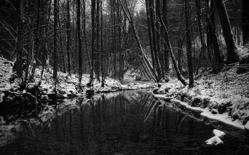 Snow-covered Forest Stream — Black, Serene, Winter