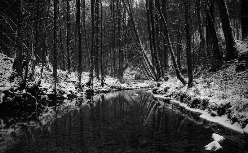 Snow-covered Forest Stream — Black