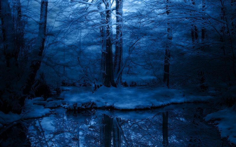 Snow-covered Forest Stream — Blue, Dark