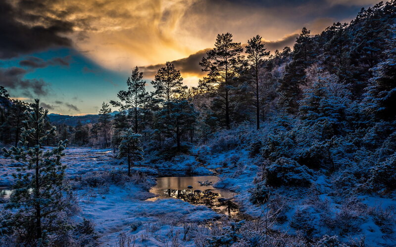 Snow-covered Forest Stream — Blue, Dramatic