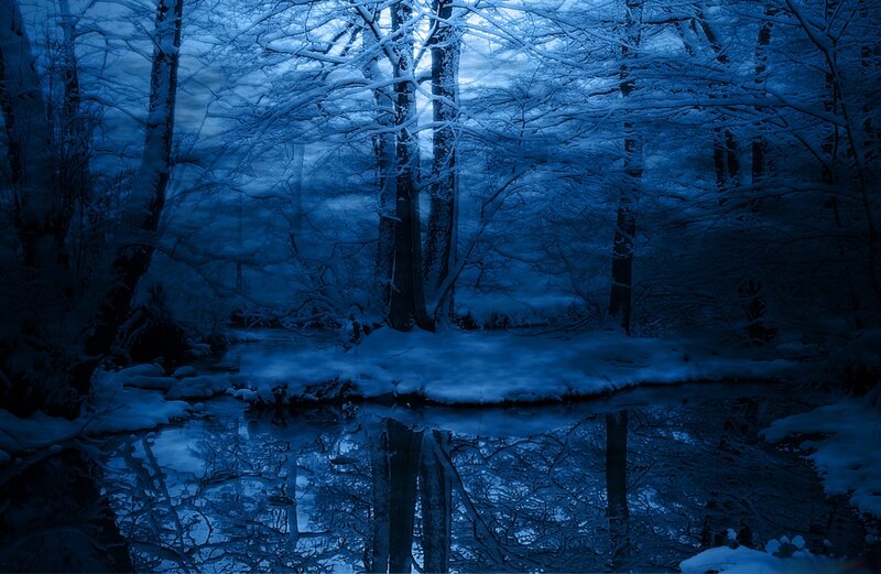 Snow-covered Forest Stream — Blue, Serene, Night, Photograph