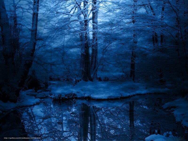Snow-covered Forest Stream — Blue, Serene, Night
