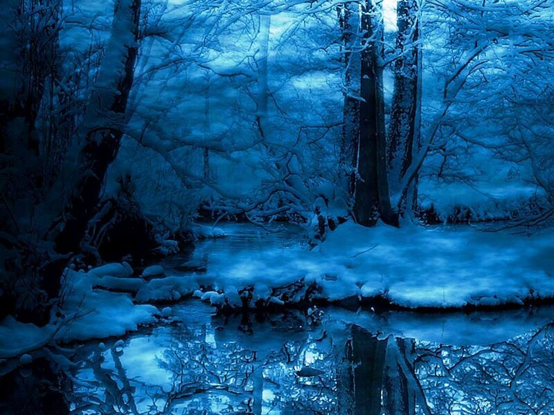 Snow-covered Forest Stream — Blue, Serene
