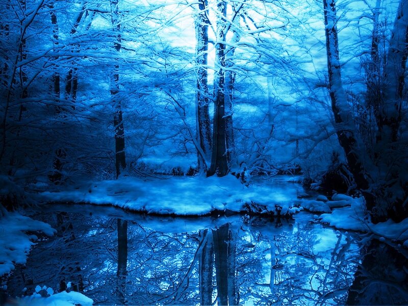 Snow-covered Forest Stream — Blue, Serene, Winter, Photograph