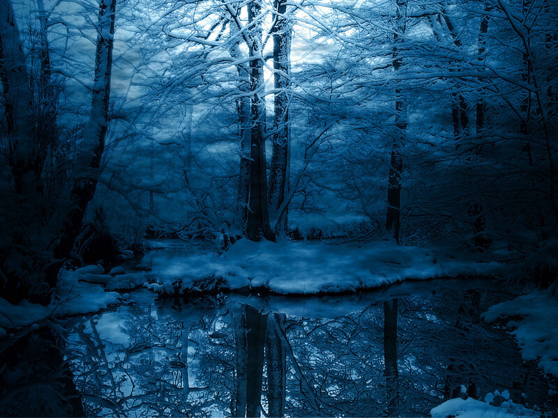Snow-covered Forest Stream — Blue, Serene, Winter, Photograph, Trees, River, Snow