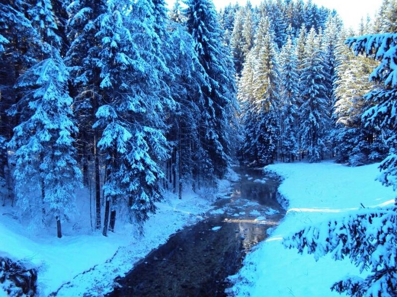 Snow-covered Forest Stream — Blue, Serene, Winter, Photograph, Trees, River