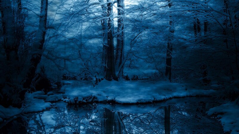 Snow-covered Forest Stream — Blue, Serene, Winter, Photograph, Trees, Snow