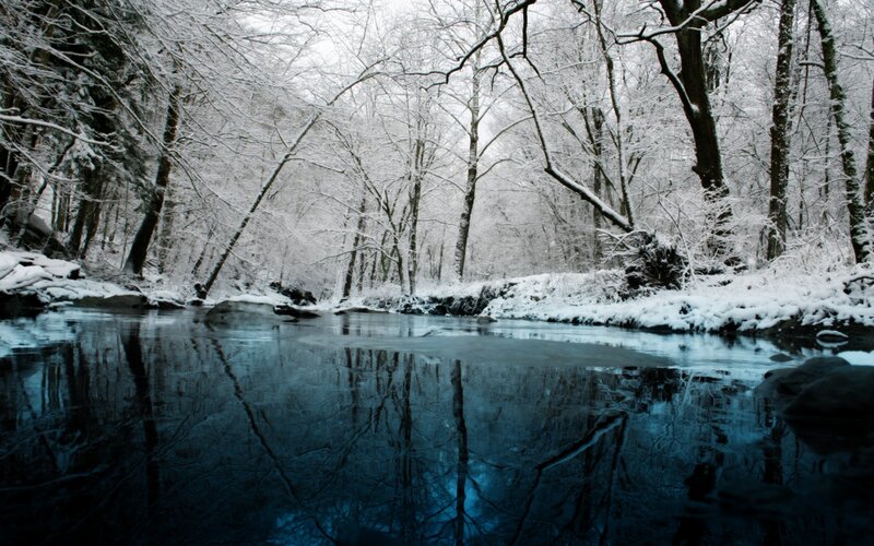 Snow-covered Forest Stream — Blue, Serene, Winter, Photograph, Trees