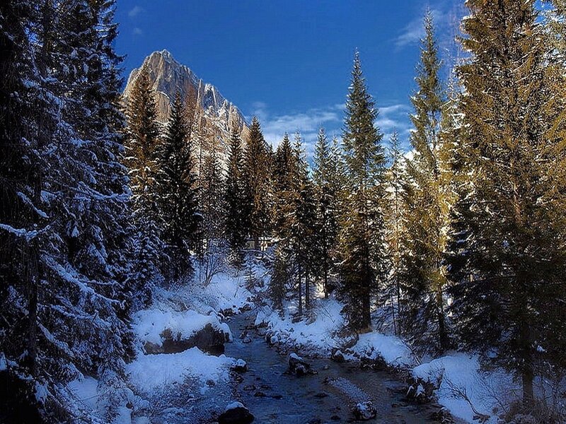 Snow-covered Forest Stream — Blue