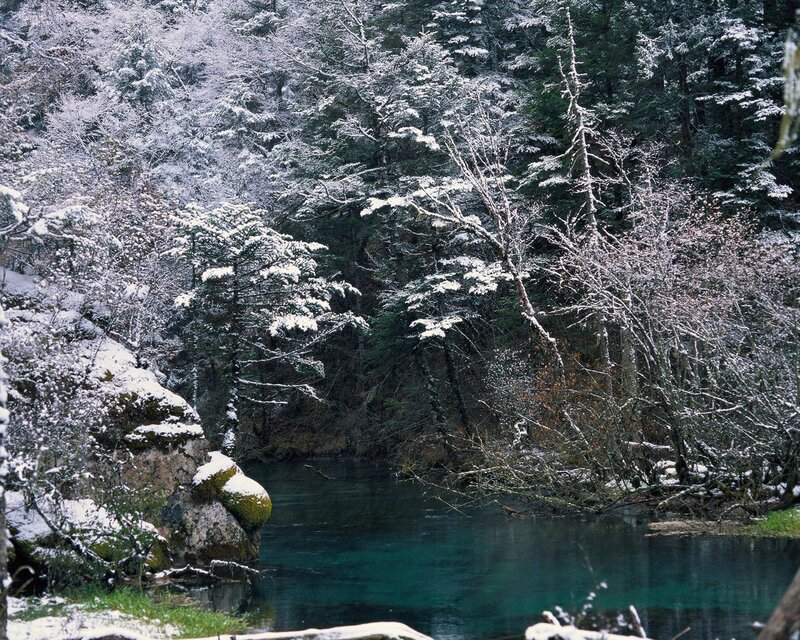 Snow-covered Forest Stream — Green