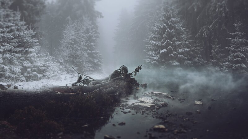 Snow-covered Forest Stream — White, Misty