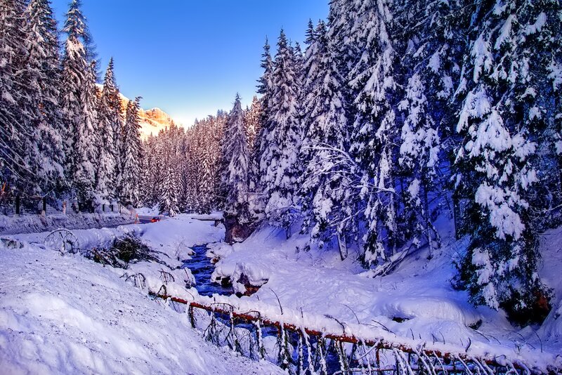 Snow-covered Forest Stream — White, Serene, Winter, Photograph, Trees