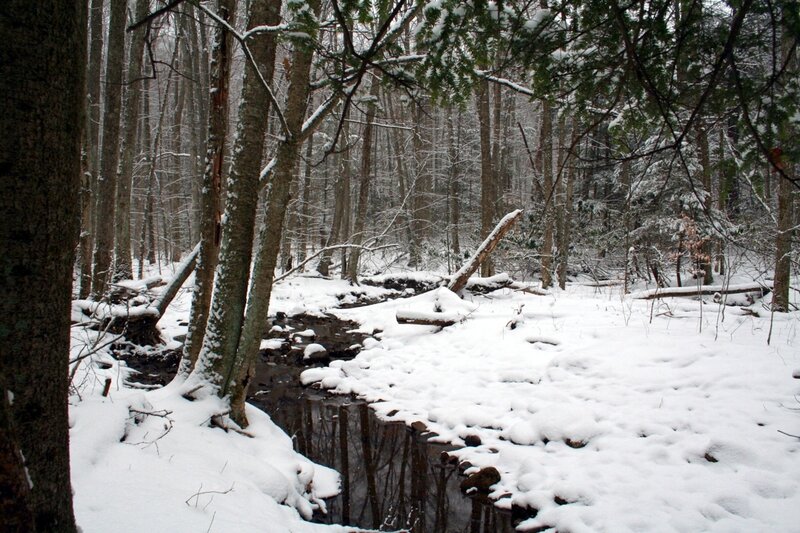 Snow-covered Forest Stream — White
