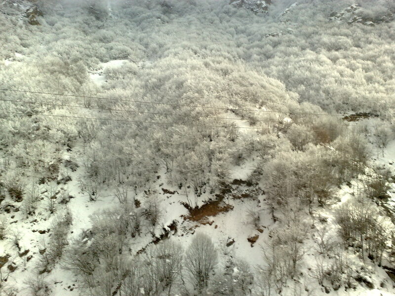 Snow-covered forest valley