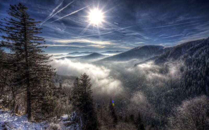 Snow-covered Forest Valley — Blue