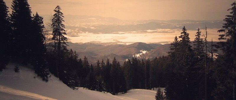 Snow-covered Forest Valley — Brown