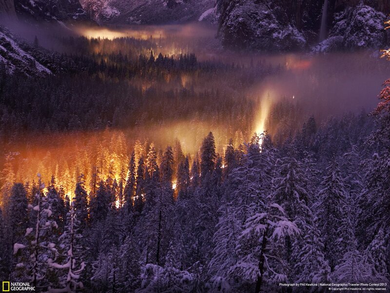 Snow-covered Forest Valley — Purple
