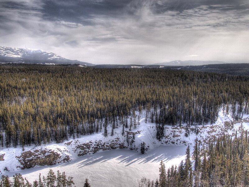 Snow-covered Forest Valley — White, Dramatic
