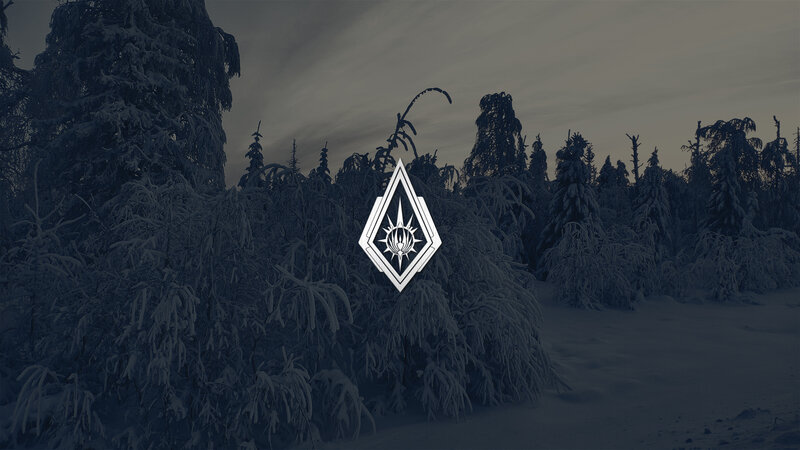 Snow-covered Forest — White, Cold, Somber