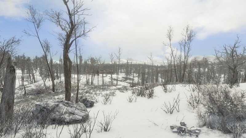 Snow-covered Forest — White, Cold, Winter, 3d Render