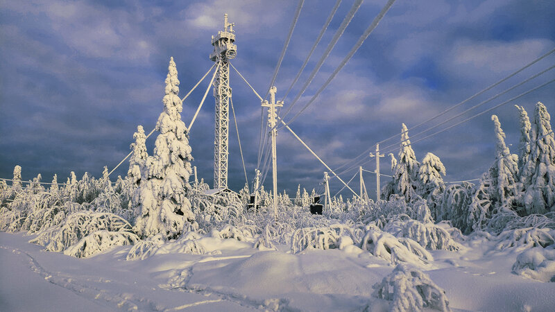 Snow-covered Forest — White, Cold, Winter, Photograph, Trees, Tower