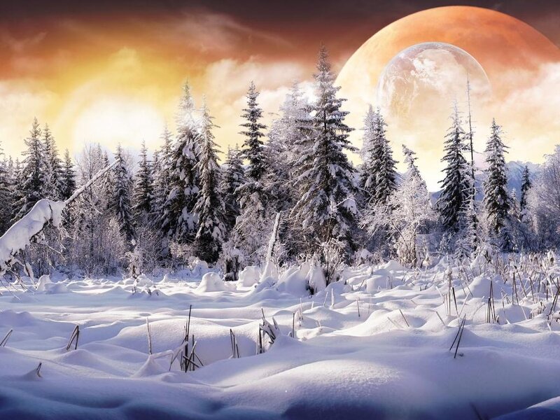 Snow-covered Forest — White, Dramatic, Winter, Digital Art