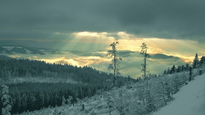 Snow-covered Forest — White, Dramatic, Winter, Photograph, Trees, Clouds, Mountains, Sunlight, Green, Gray
