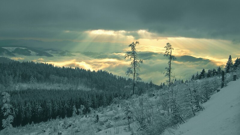 Snow-covered Forest — White, Dramatic, Winter, Photograph, Trees, Clouds, Mountains