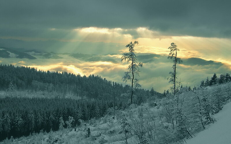 Snow-covered Forest — White, Dramatic, Winter, Photograph, Trees, Clouds, Sunlight