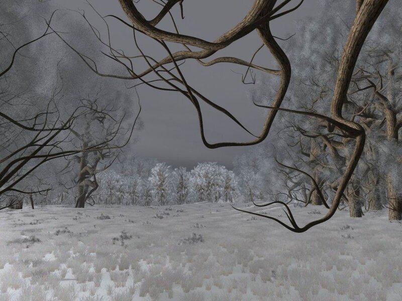 Snow-covered Forest — White, Dreary