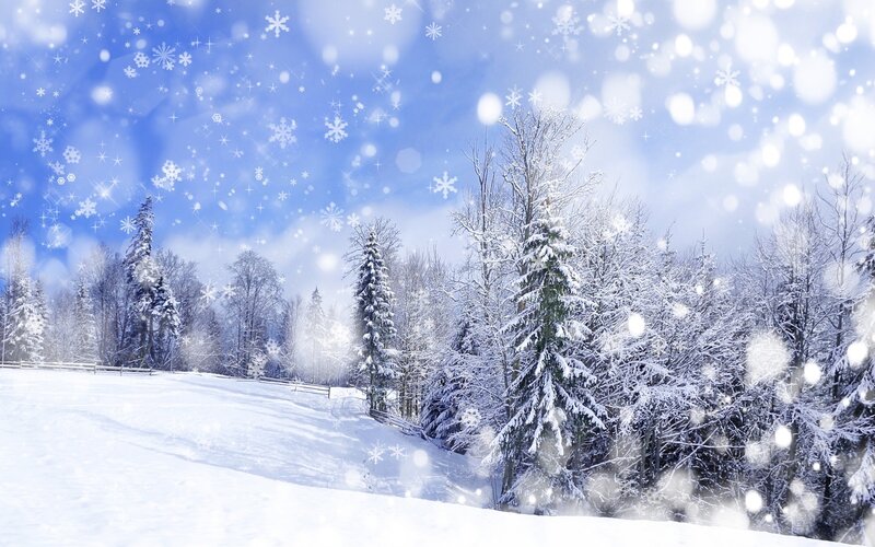 Snow-covered Forest — White, Fence