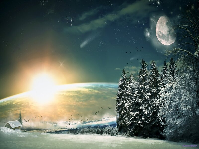Snow-covered Forest — White, Serene, Night, Digital Art, Moon