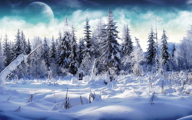 Snow-covered Forest — White, Serene, Night, Digital Art