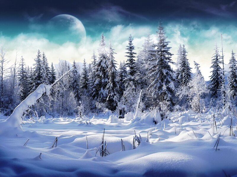 Snow-covered Forest — White, Serene, Night, Digital Art, Trees, Moon, Clouds