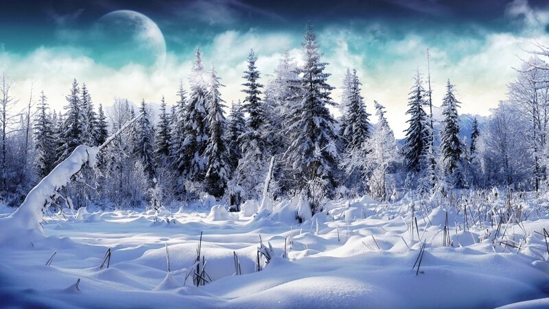 Snow-covered Forest — White, Serene, Night, Digital Art, Trees
