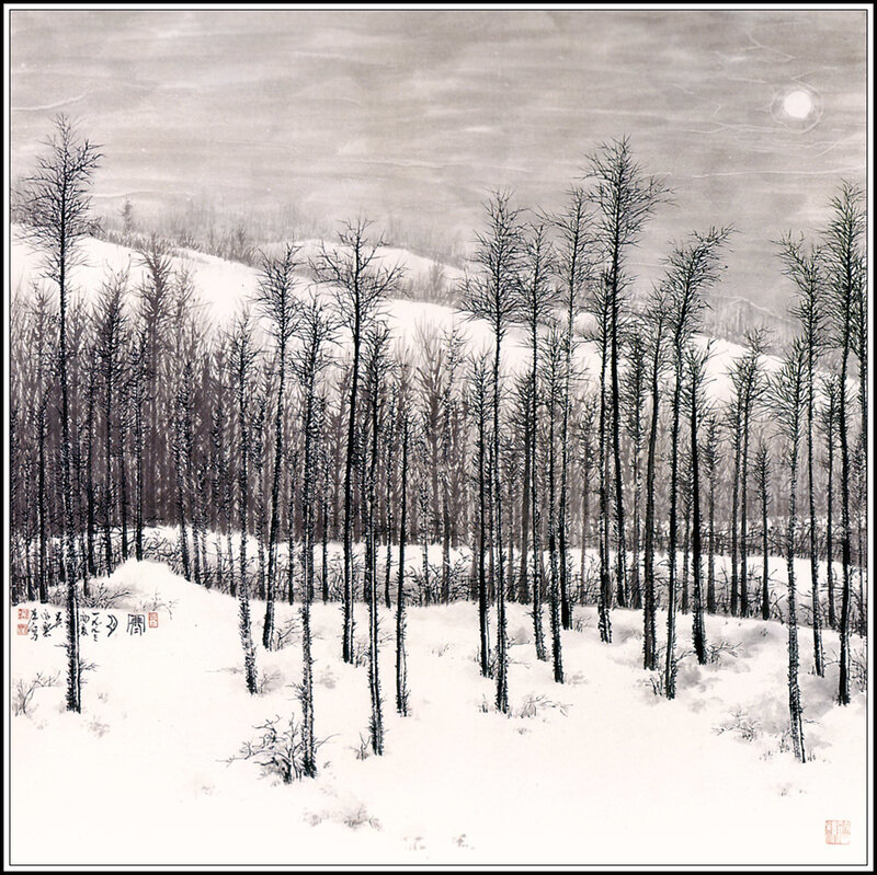 Snow-covered Forest — White, Serene, Night