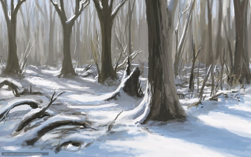 Snow-covered Forest — White, Serene, Winter, Digital Art, Trees, Snow