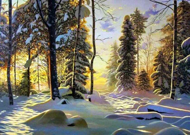 Snow-covered Forest — White, Serene, Winter, Painting, Trees, Snow, Sunlight